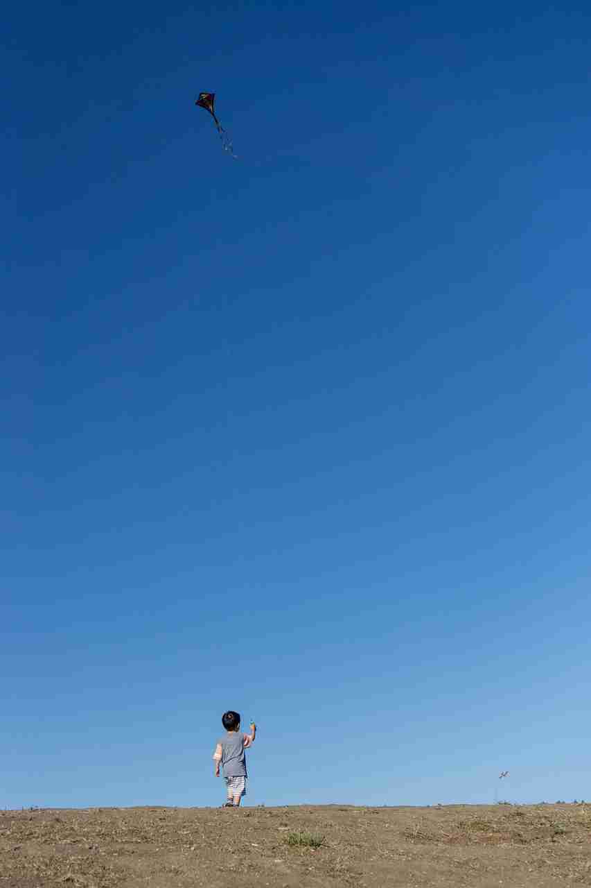 Inspiration kite, child, sky, nature, wind, play, flying, summertime